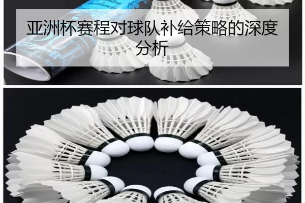 亚洲杯赛程对球队补给策略的深度分析